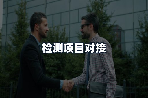 检测项目对接